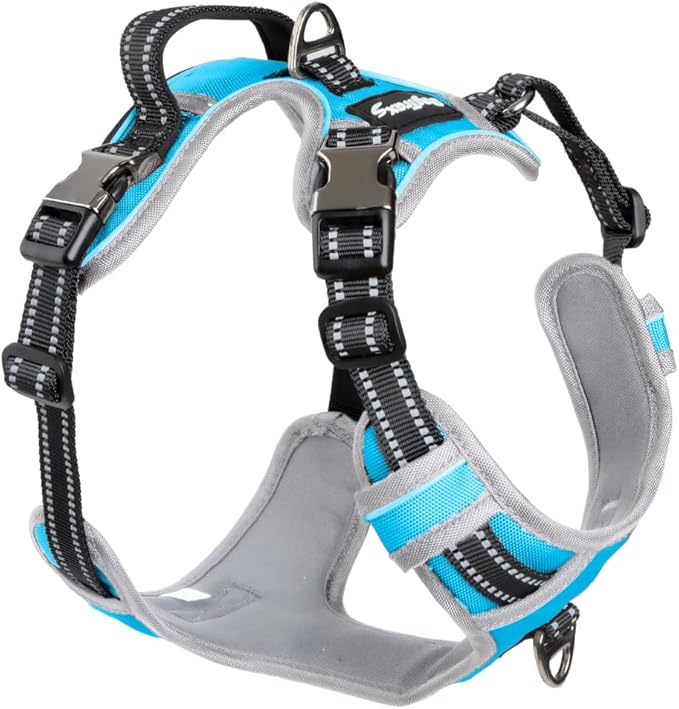 DogTraxs Dog Harness for Medium Dogs - No Pull Front Clip, Adjustable Step in Reflective Vest with Metal Buckles - Sky Blue