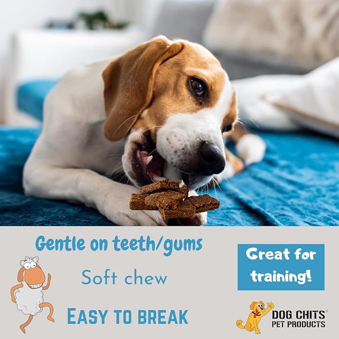 Dog Chits Lamb and Flaxseed Soft Chew for Dogs - All Natural Dog Treats, High Protein, Gentle on Teeth & Rich in Omega 3 and 6 - Supports Joint and Digestive Health - Made in USA - 4 oz
