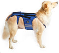 Coodeo Dog Back Brace for Dogs Arthritis, Pet Back Bracer for IVDD, Back Protector Helps Pain Relief, Surgical Recovery and Rehabilitation, Dogs Back Disease Prevention. (Blue,Medium)