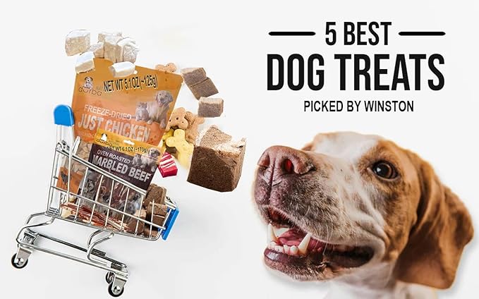 Oven Roasted Single Ingredient Treats for Dogs & Cats | Easy Chew (6.0 oz, Chicken Strips, Large)