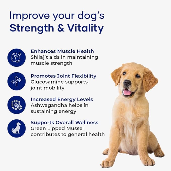 Muscle Formula for Dogs – Hip and Joint Supplement with Glucosamine for Dogs, & Green Lipped Mussel | Ashwagandha & Shilajit | Dog Joint Supplement for Small, Medium & Large Dogs (Pack of 3)