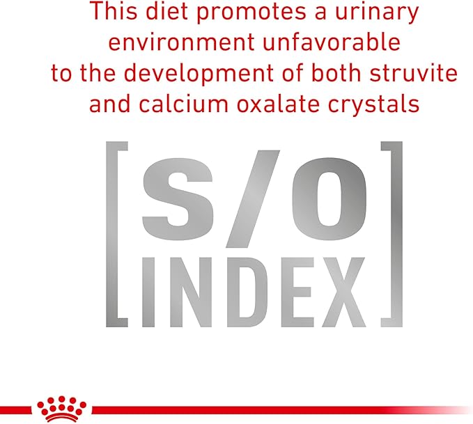 Royal Canin Veterinary Diet Canine Urinary SO Moderate Calorie Adult Thin Slices in Gravy Dog Food, 12.5 oz (Pack of 12)