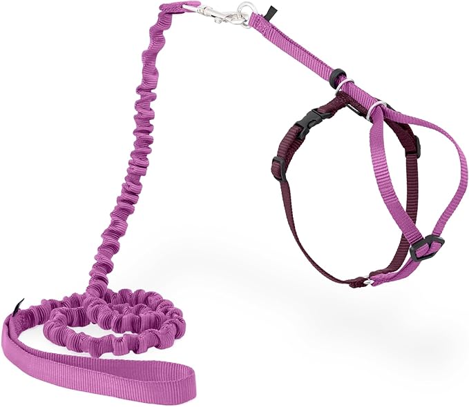 PetSafe Come With Me Kitty Cat Harness & Bungee Leash - Comfortable Cat Harness with Lightweight Bungee Leash for Outdoor Fun - More Secure Walks - Small - Dusty Rose
