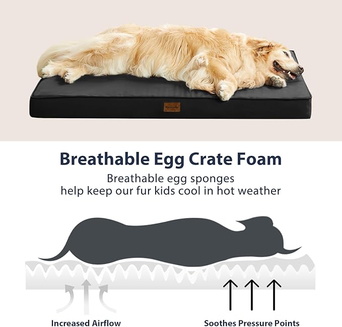 BFPETHOME Outdoor Dog Beds for Large Dogs, Waterproof Dog Bed for Medium, Large, Extra Large Dogs, Orthopedic Pet Bed with Removable Washable Cover, Egg Crate Foam Pet Bed Mat. (47 x 29in, Black)