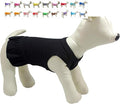 Pet Clothes Small Dog Clothing Blank Color Sport Dress T-Shirts Tee Dresses Tanks Top for Small Size Female Dogs Summer Spring Pet Costumes 100% Cotton (M, Black)