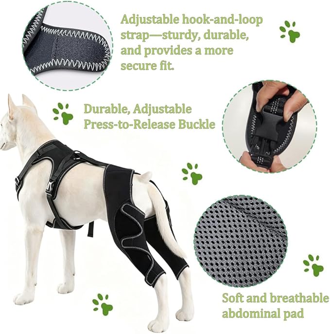 Dog Hip Brace, Dysplasia Brace for Dogs, Mild Torn ACL Leg Support, Adjustable Dog Leg Brace, Breathable, for Arthritis, Stiffness & Swelling, Knee Instability & Mobility Comfort, senior mobility (M)