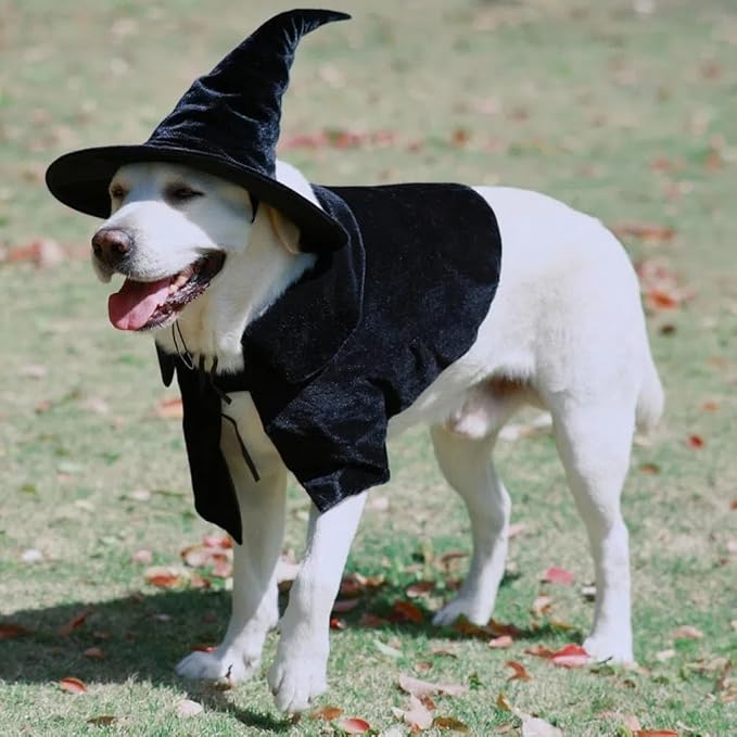 Hooded Cloak Witch/Wizard Costume for Large Pets, Dog Halloween Costume Hat and Cloak, Dog Witch Costumes Large