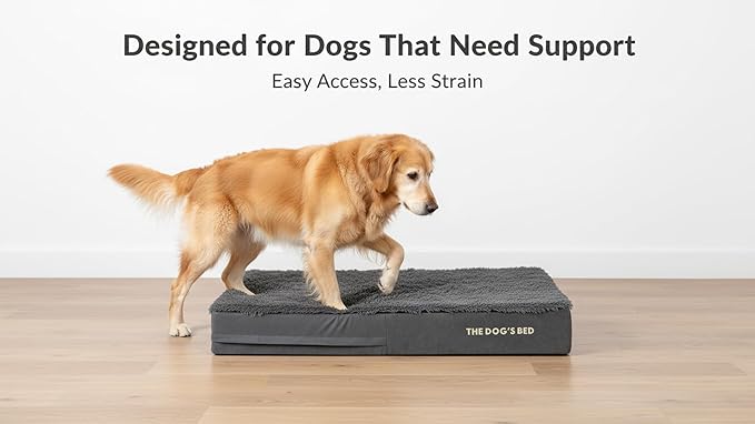The Dog’s Bed Orthopedic Memory Foam Dog Bed for XXL Dogs, Waterproof Washable Cover, Anti-Slip Base, Calming Surface – CertiPUR-Certified Foam, Grey Fur, 6 Inch Thick
