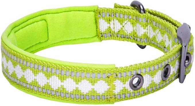 Blueberry Pet Reflective Jacquard Dog Collar with Neoprene Padding & Metal Buckle | Soft & Adjustable Safety Collar - Macaw Green, Neck 17-20.5", for Large Breed