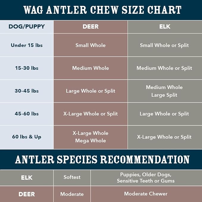 Amazon Brand – Wag Dog Deer Antler Chew, Naturally Shed. Whole, Small (Best for Dogs Under 15 lbs) 4–5.5 inches (Pack of 4)