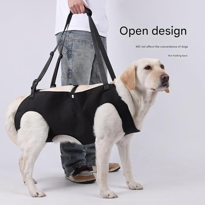 Adjustable Dog Support Harness for Senior & Disabled Pets – Lift Assist Rehab Sling with Leash Clip for Mobility, Walking & Recovery(Green,Medium)