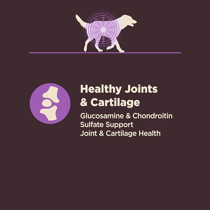 Wellness CORE Digestive Health Senior Dry Dog Food, Wholesome Grains, Natural, Recipe for Dogs with Sensitive Stomachs, Age Advantage Chicken & Brown Rice, (24-Pound Bag)