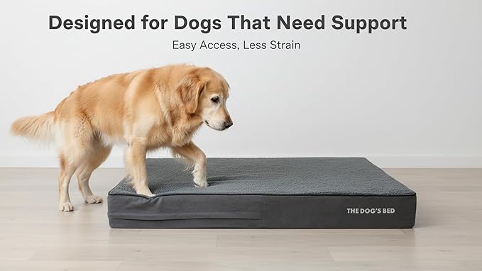 The Dog’s Bed Orthopedic Memory Foam Dog Bed for XL Dogs, Waterproof Washable Cover, Anti-Slip Base, Calming Surface – CertiPUR-Certified Foam, Grey Plush, 6 Inch Thick