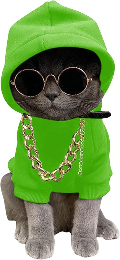 QWINEE 3Pcs Dog Hoodie Cat Apparel Dog Custume Set with Necklace and Sunglasses Pet Clothes for Puppy Small Medium Dogs Cats Green Large