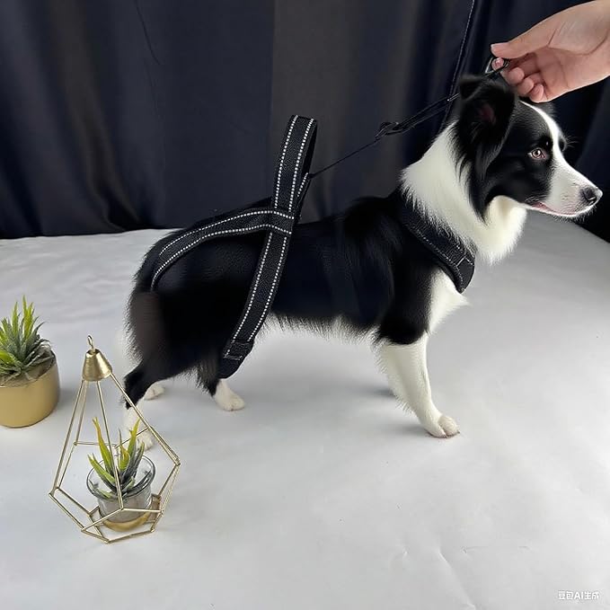 New Upgraded Dog Hind Leg Support Harness, Rear Leg Support Harness - Mobility Aid for Disabled & Paralyzed Pets, Rehabilitation Sling for Hind Leg Assistance Comfortable and Durable Design (Large)