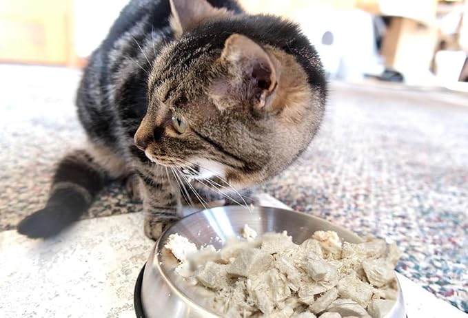 Freeze Dried Chicken Bites - Cats and Dogs Training Treat or Food Topper for Picky Eaters, Protein-Packed Pet Snack (2.0 oz, Just Chicken)