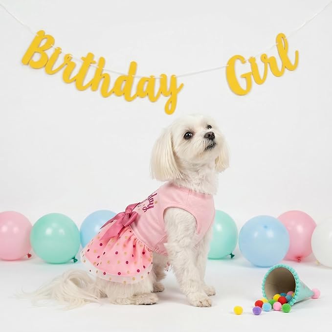 Fitwarm Birthday Girl Dog Tulle Dress, Dog Clothes for Small Dogs Girl, Cat Apparel, Pink, Medium
