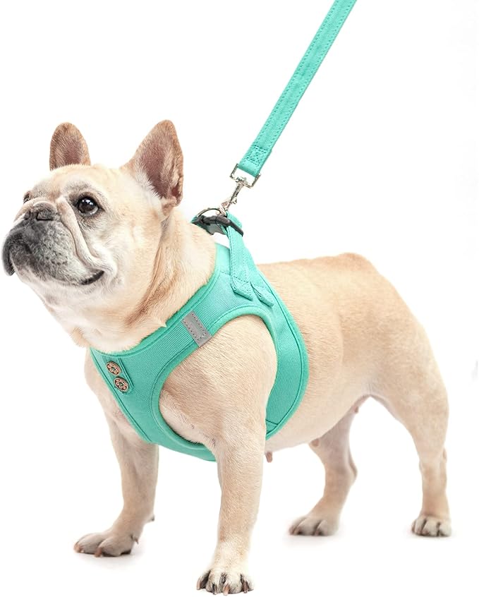 PUPTECK Dog Harness and Leash Set for Small Medium Dogs No Pull Step-in Soft Mesh Puppy Cat Vest Harnesses Reflective at Night, Denim Green L