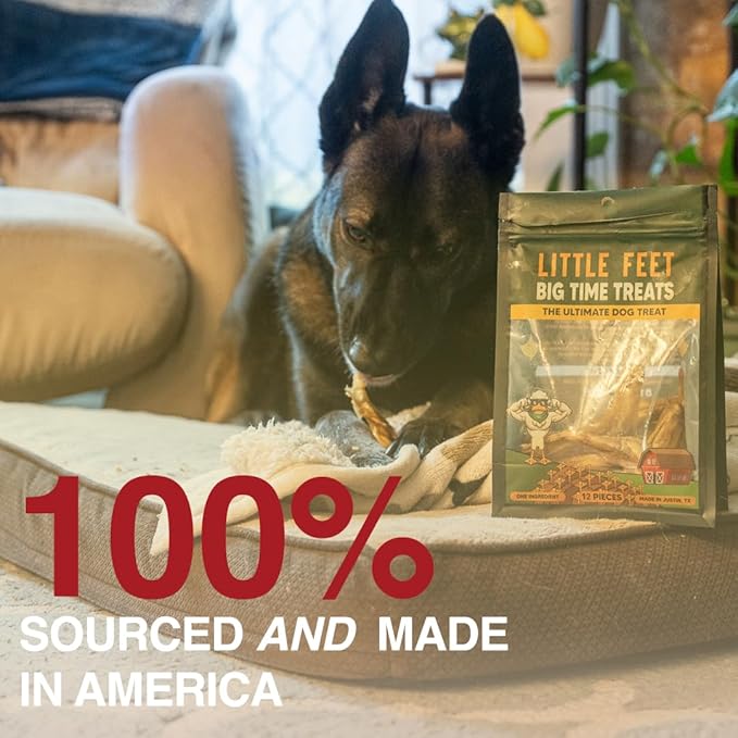 Duck Feet Dog Treats - Single Bag - 12 Premium Extra Large Pieces - 100% Sourced and Made in USA