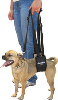 GINGERLEAD Dog Sling Support Harness, SM Female fits Small to Medium Size Pets or Larger Barrel Chested Dogs Like Boxers or Bullies. Padded Rear Lifting Aid with Leash. Made in U.S.A.