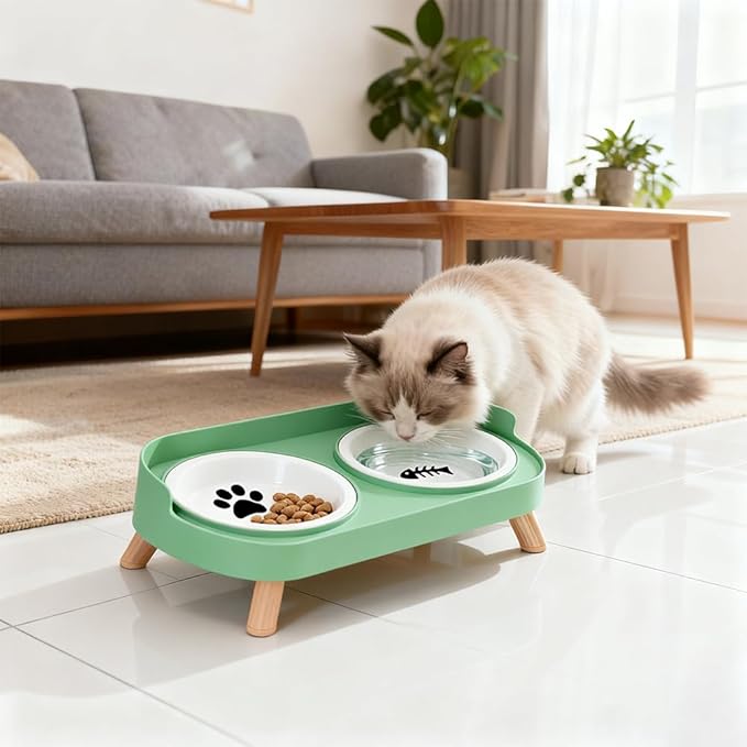 Elevated Cat Bowls, 2 Ceramic Raised Cat Food and Water Bowl Set, Prevent Cat Chin Acne, Whisker Fatigue Friendly, Splash Proof & Dishwasher Safe for Indoor Cats and Small Dogs - Green
