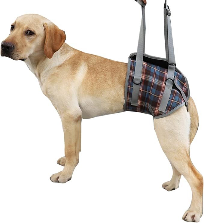 Dog Lift Harness, Adjustable Rear Leg Support Sling with Breathable Polyester, Mobility Aid for Disabled and Senior Dogs (M (12.5‑20kg / 27.6‑44.1lb Recommended))