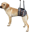 Dog Lift Harness, Adjustable Rear Leg Support Sling with Breathable Polyester, Mobility Aid for Disabled and Senior Dogs (M (12.5‑20kg / 27.6‑44.1lb Recommended))