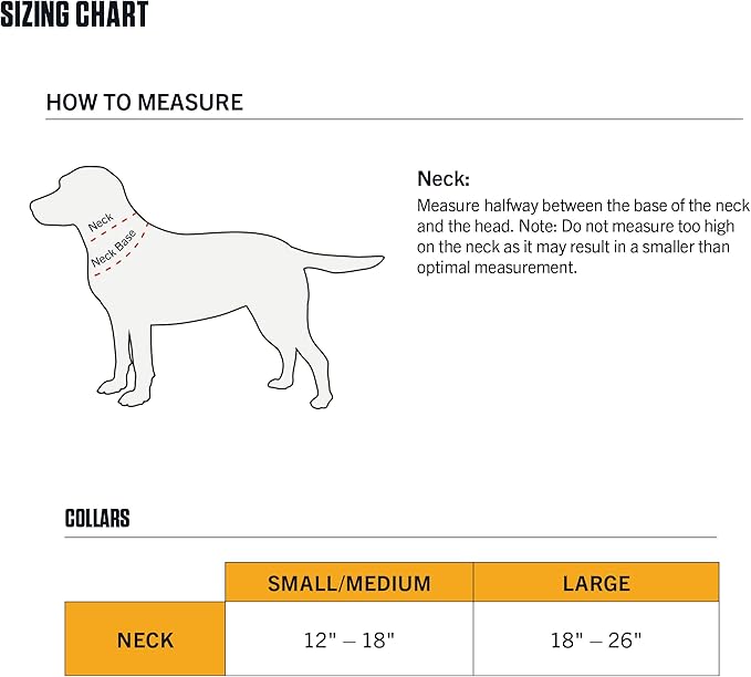 Carhartt Fully Adjustable Nylon Webbing Collars for Dogs, Reflective Stitching for Visibility, Hunter Orange (Nylon Webbing), Large