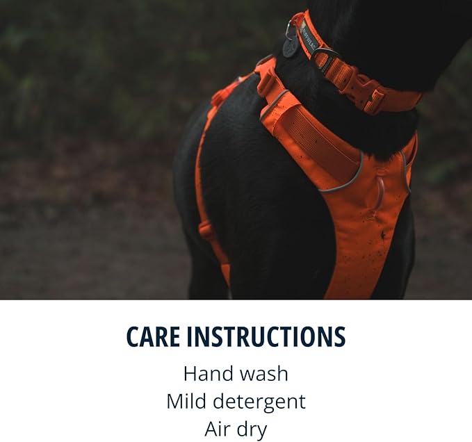 Ruffwear, Front Range Dog Collar, Adjustable Tubelok Webbing, Lightweight, Side Release Buckle, Aluminum V-Ring, Durable for Everyday Use, Blaze Orange, 14"-20"