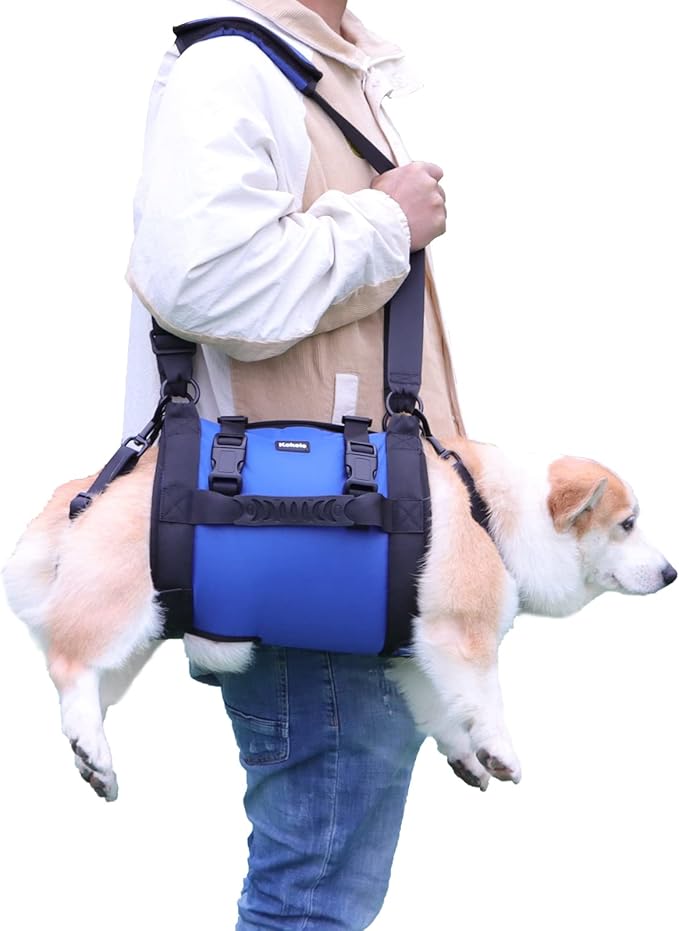 Dog Carry Sling, Emergency Backpack Pet Legs Support & Rehabilitation Dog Lift Harness for Large Dogs, Dog Carrier for Senior Dogs Joint Injuries, Arthritis, Up and Down Stairs (Blue, L)