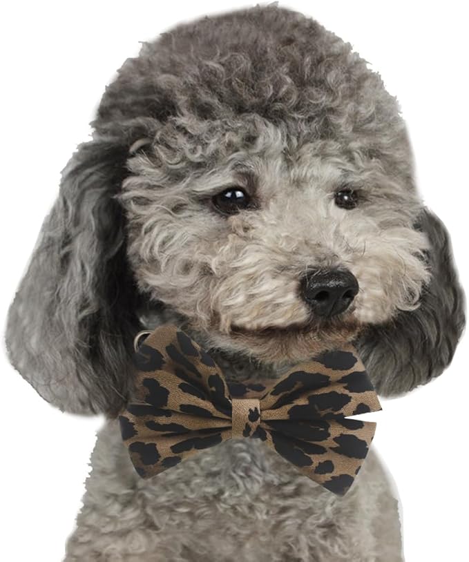 YOY Soft Comfortable Adjustable Leopard Print Pet Collar with Bowtie, Heavy Duty Dog Collar and Leash Set for Small Medium Large Dogs Cats, Puppy Grooming Doggy Accessories, Length 14" - 20"