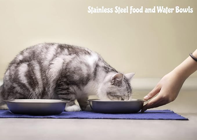 Stainless Steel Cat Bowls 2 Pack, Whisker Fatigue Relief Cat Food Dish, Metal Shallow Wide Large Replacement Plate for Dog and Pet, Ideal for Raised Elevated Pet Feeding Station Stand, 6.3"