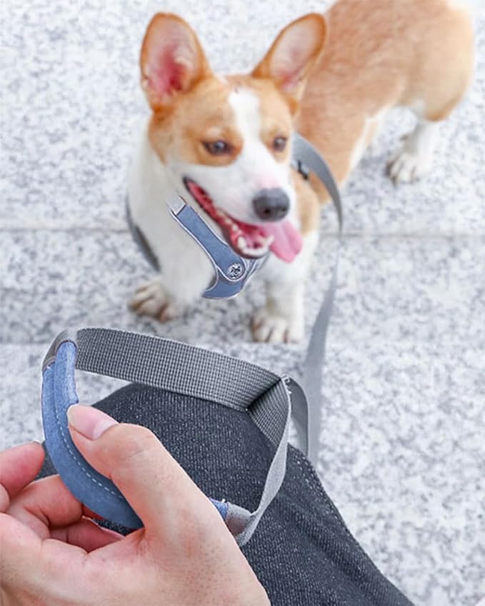 Large Dog Harness and Leash Set,No Pull Adjustable Step in Soft Mesh Vest Harness,Easy Walk Reflective Pet Harness with Padded Handle for Walking Training Small Medium Large Dogs and Cats (Blue, L)