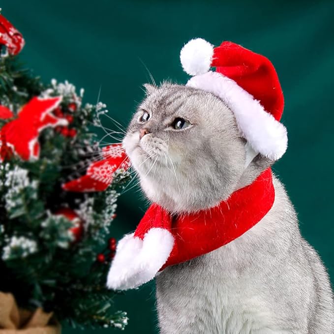 YUJUN 2PCS Cat Santa Hat with Scarf Outfit for Puppy Kitten Christmas Party Costume Supplies