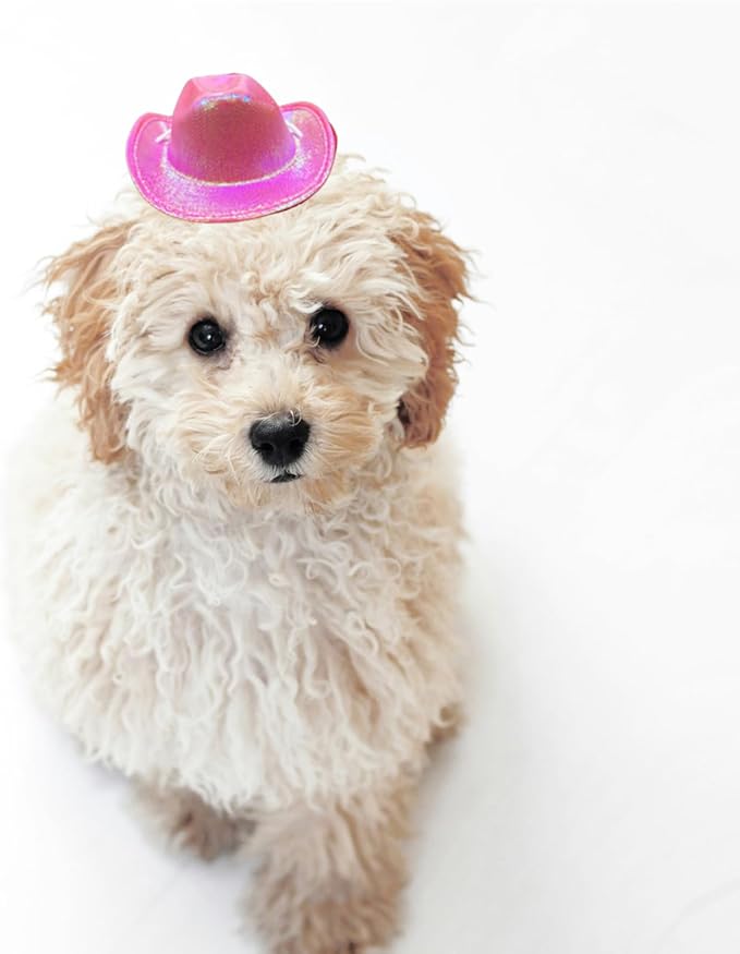Dog and Cat Cowboy Hat With Bandana Scarf - Mini Pet Costume for Holiday, Halloween, Party Decoration (Pink-style2, Small)