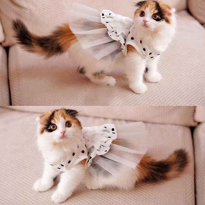 ANIAC Floral Cat Bridal Wedding Dresses Polka Dots Dog Princess Tutu Dress with Flowers Stretchy Breathable Small Puppy Clothes for Girls Pet Birthday Outfit (White, Large)