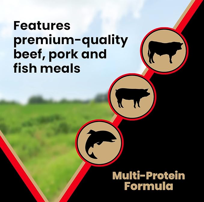 VICTOR Super Premium Dog Food – High Protein Grain Free Active Dog & Puppy Kibble – Dry Food with 33% Protein, Gluten-Free - Premium Beef, Pork, Fish Meals for High Energy Dogs, 15lbs