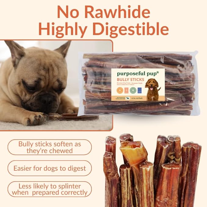 Bully Sticks (12 Inch-20 Pack) | European Quality | Single Ingredient Beef Pizzle Dog Chews | Long Lasting Rawhide Alternative | Medium to Large Dogs
