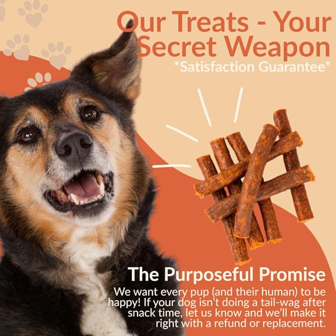 Duck Sausage Dog Treats – All Natural, Single Ingredient, Grain-Free Chews for Dogs | Premium European Quality | High-Protein, Air-Dried, Healthy Snack (10 Pack, Duck Sausage)