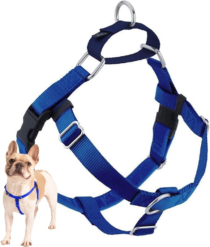 2 Hounds Design Freedom No Pull Dog Harness, Adjustable Harness, Easy Walking & Comfortable Control, Fits Small, Medium & Large Dogs, Solid Colors, Made in USA, 5/8" MD, Royal Blue