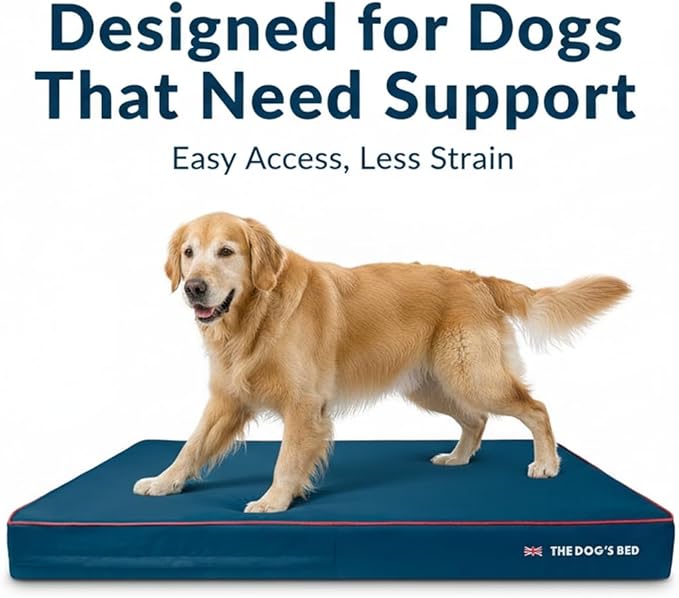 The Dog’s Bed Orthopedic Memory Foam Dog Bed for XXXL Dogs, Waterproof Washable Cover, Anti-Slip Base, Calming Surface – CertiPUR-Certified Foam, Blue with Red Trim, 6 Inch Thick