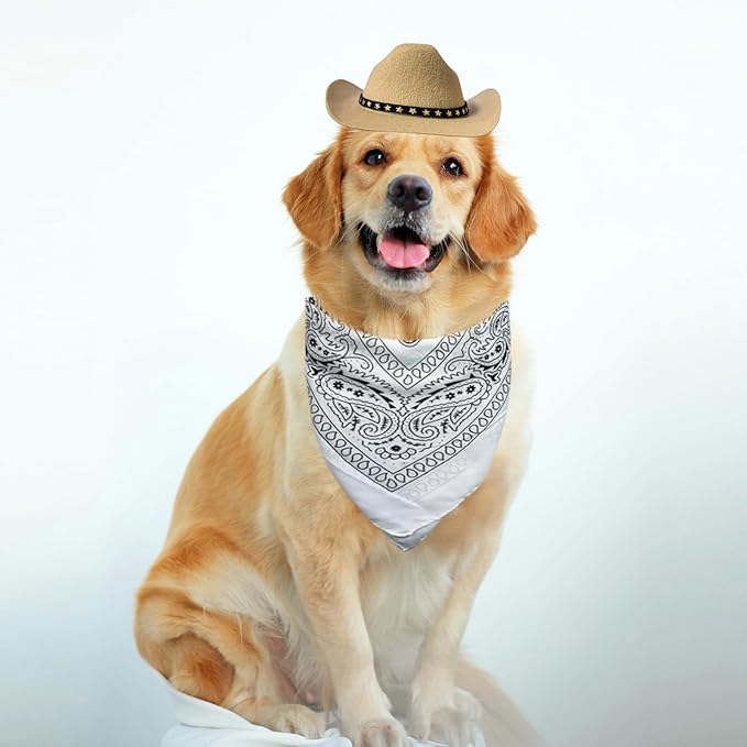 Dog Cowboy Hat Cat Cowboy Hat Mini Cowboy Hat for Dogs Cat Pet Cowboy Costume with Bandana Scarf Holiday Halloween Pet Party Decoration (Khaki, Large)