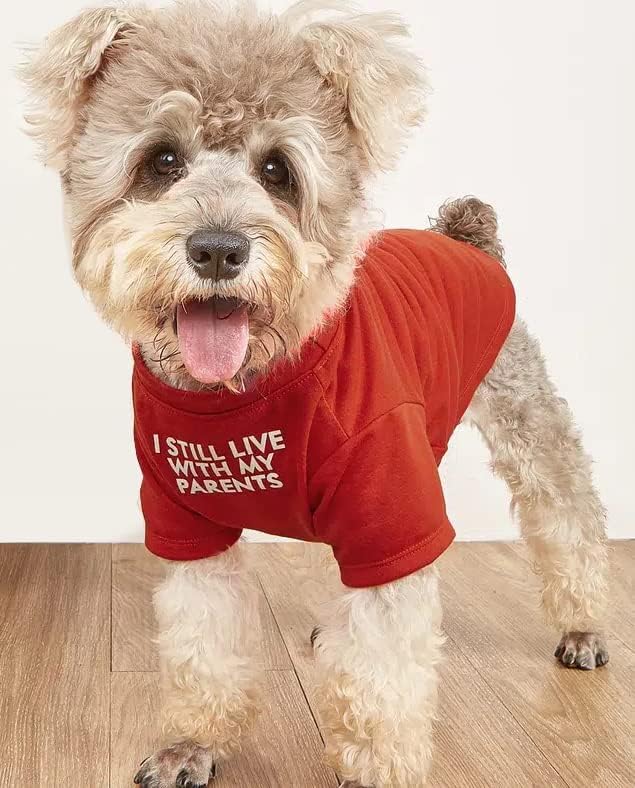 Cute Dog Clothes, T Shirt for Medium and Small Dogs Girl Boy,Puppy.Breathable Soft Dog Costume for Pet Dogs Cats, Pet Pullover Jumper, Cat Clothes (M-(7~11lb), Chest~16", Red, Parents)