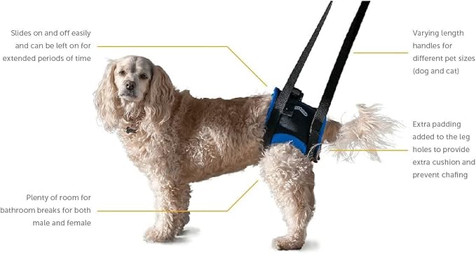 Walkabout Back End Harness (med/Large