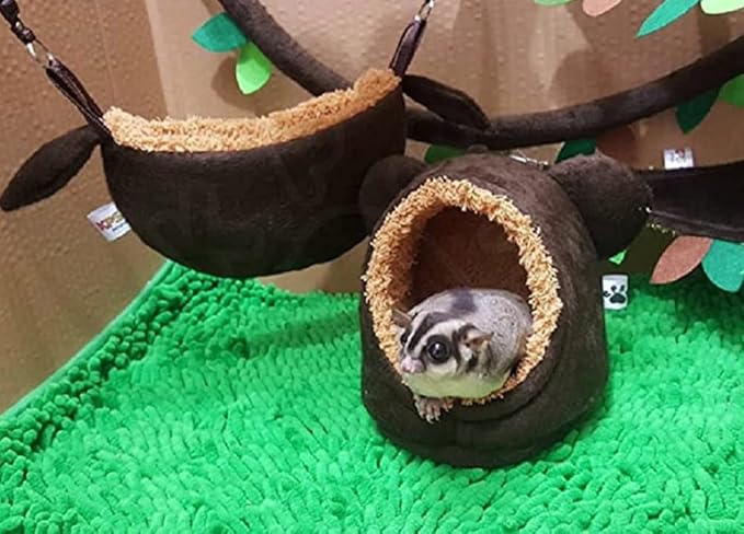 6 Pieces Cute KPS Jungle Bear Style Sugar Glider Hamster Squirrel Chinchillas Small Pet Cage Set Forest Bear Pattern Dark Brown Color Get Free 1 Small Pet Treats (Dry Fish Stick)
