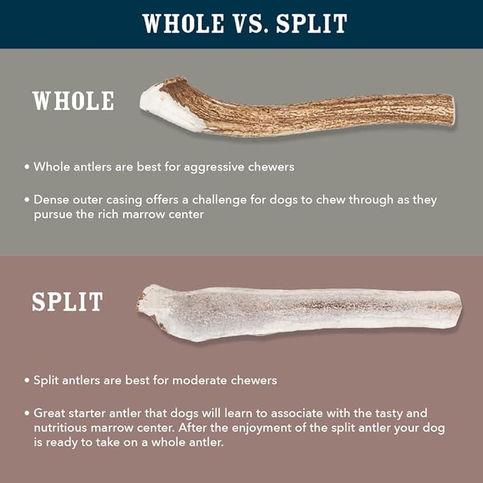 WAG Split Elk Antler, Medium, for Dogs | Naturally Shed | 15-30 lbs | Pack of 4