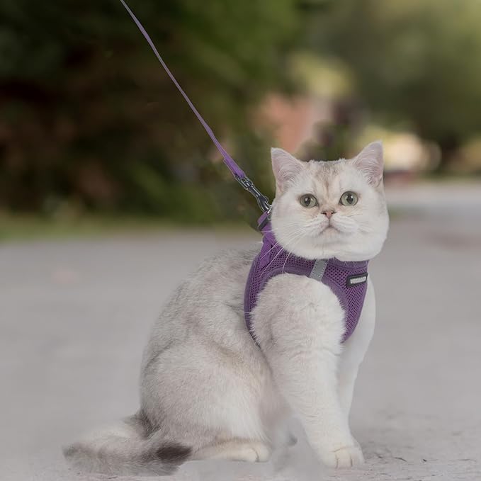 Voyager Step-in Pet Harness - All Weather Mesh, Adjustable Step in Harness for Cats and Dogs by Best Pet Supplies - 307S Purple, M