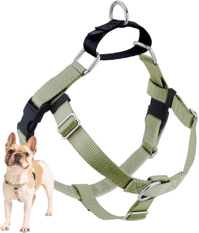 2 Hounds Design Freedom No Pull Dog Harness, Adjustable Harness, Easy Walking & Comfortable Control, Fits Small, Medium & Large Dogs, Solid Colors, Made in USA, 1" LG, Tan