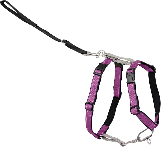 PetSafe 3 in 1 No-Pull Dog Harness for Large Dogs - Walk, Train or Travel - Helps Pets from Pulling on Walks - Seatbelt Loop Doubles as Quick Access Handle - Reflective- Large, Plum