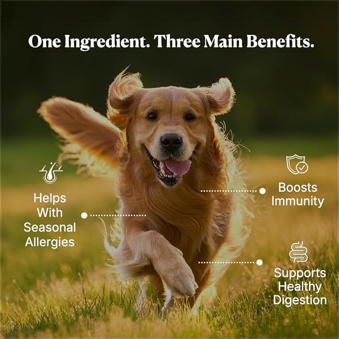 Colostrum for Dogs - 25% IgG Whole Bovine Colostrum Powder Supports Immune & Gut - Digestive Health, Allergy, Skin & Itch Relief - No Fillers, Grass-Fed USA Sourced – 60g (~120 Scoops)